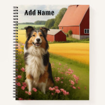 Collie Padrão na Fazenda