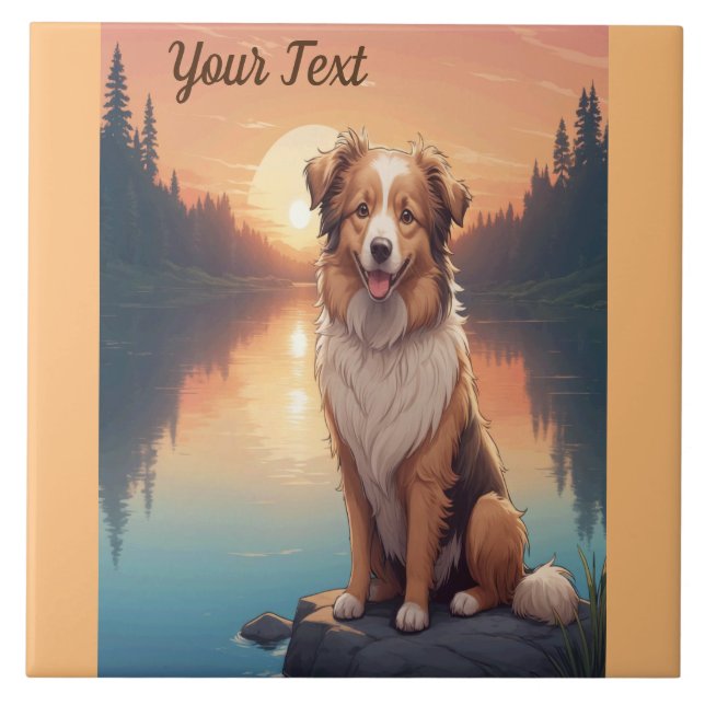 Collie Shepherd por Lake (Frente)