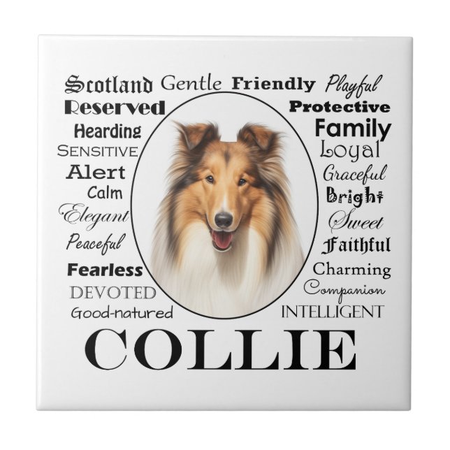 Collie Traits (Frente)