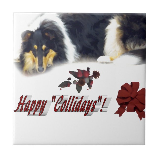 Collie Tri Color Natal (Frente)
