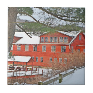 Collins Company Azulejo