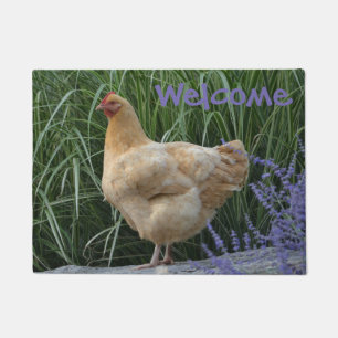 Colocando o tapete de boas-vindas ao frango