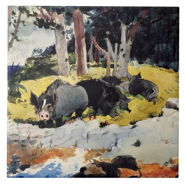 Colonizadores das Bermudas, uma pintura de Winslow (Frente)