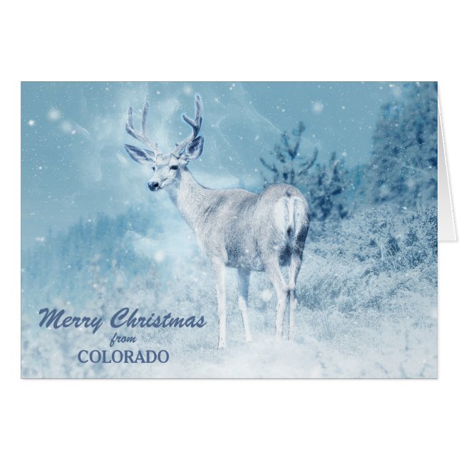 Colorado Deer no Cartão de Natal de Neve (Frente Horizontal)