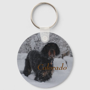 Colorado Gordon Setter Puppy Chaveiro