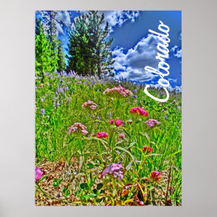 Colorado primavera poster