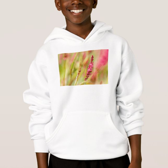 colorbush (Frente)