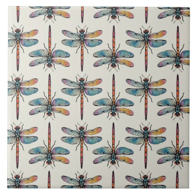 Colorful Dragonfly Pattern (Frente)