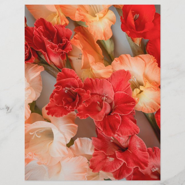 Colorful Gladiolus Flowers Scrapbook Paper (Frente)