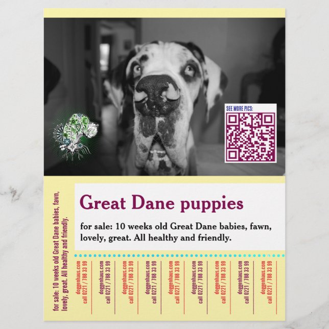 Colorful tear off dog flyer  (Frente)