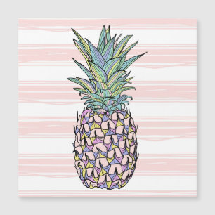 Colorful vintage pineapple illustration.
