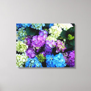 Colorida, Flores, Canvas de fundo Impressão