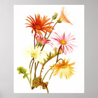 Colorida Gerbera Daisy Wallart Poster