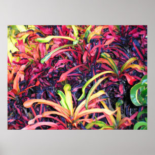 Colorida Ivy - Poster