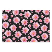 Colorida Medley de Flores Africanas de Daisies