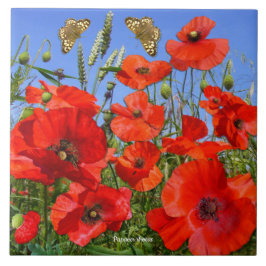 Colorida Poppy Field