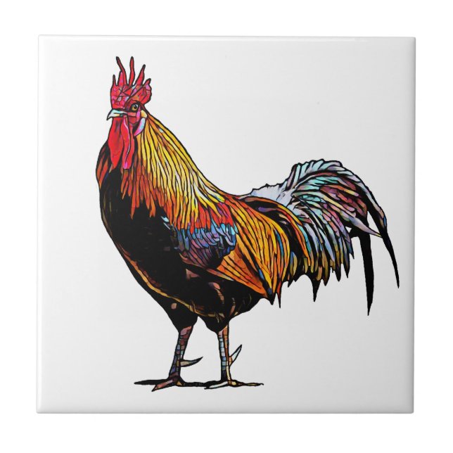 Colorida Rooster (Frente)
