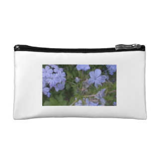 Colorido compo o saco