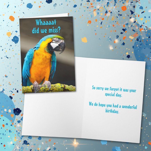 Colorido Papagaio Belado Modelo de Aniversário (Parrot photo card cover with template text on cover and inside.)
