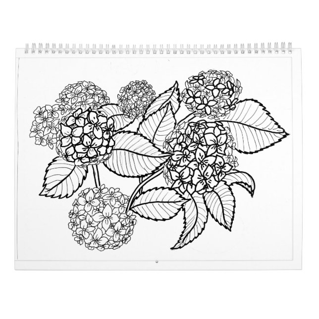 Colorir o calendário de coloração do Calendário (Verso)