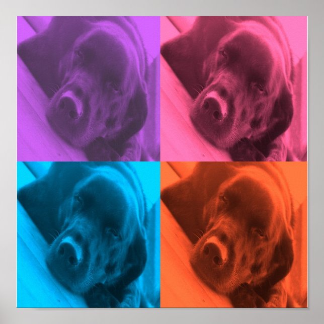 colors of Lab poster (Frente)