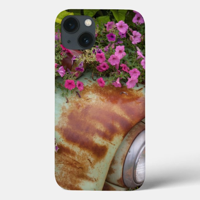 Columbia Falls (Verso)