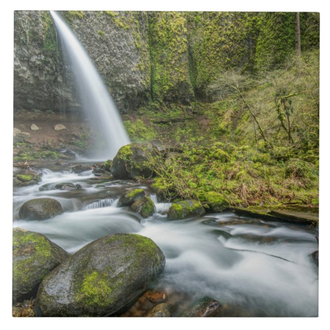 Columbia River Gorge, Ponytail Falls (Frente)