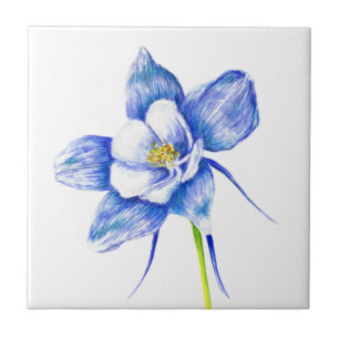 Columbina Azul