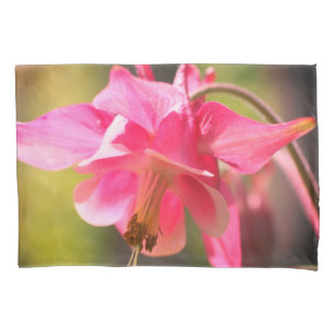 Columbina rosa Flor Fechar