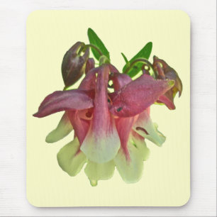 Columbine Mousepad Cultivado