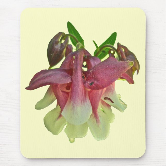 Columbine Mousepad Cultivado (Frente)