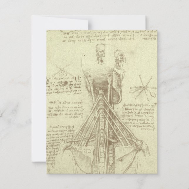 Coluna Espiral de Anatomia Humana de Leonardo da V (Frente)