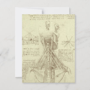 Coluna Espiral de Anatomia Humana de Leonardo da V