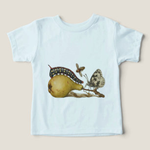 Coluna Vintage Insetos À Borboleta Da Abelha