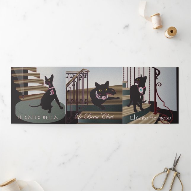 Com Dobra Tripla Cartão triplo Bella Cat 10-12 (Fora)