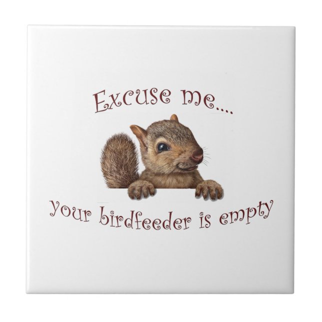 Com licença...seu alimentador de pássaros está vaz (Frente)