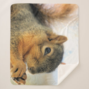 Coma o cobertor do dedo