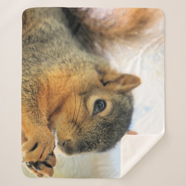 Coma o cobertor do dedo (Frente)