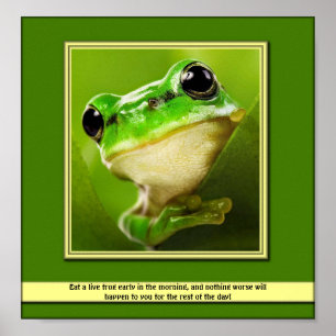 Coma um poster vivo do sapo