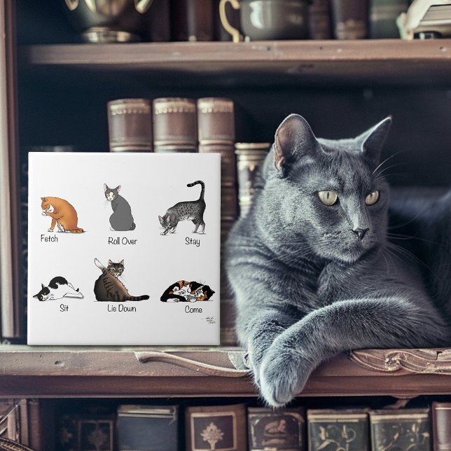 Comandos Cat (Criador carregado)