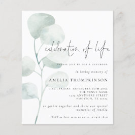 Comemoração Do Orçamento Do Eucalyptus Sage