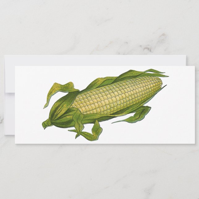 Comida de vegetais saudáveis, milho no forno (Frente)