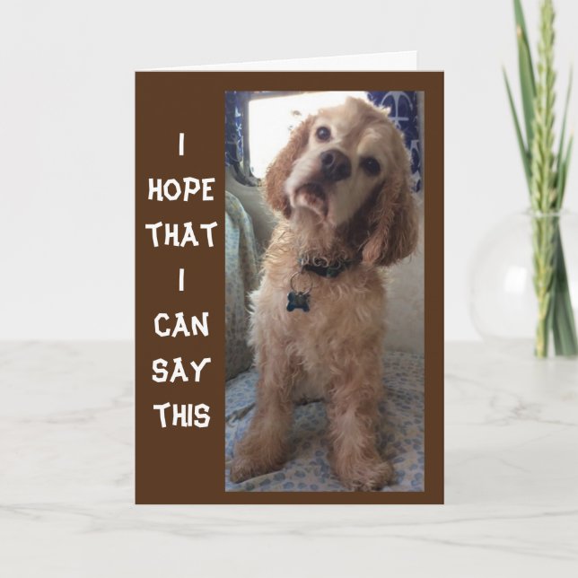 **COMIDIC SPANIEL" FELIZ Cartão de ANIVERSÁRIO "70 (Frente)