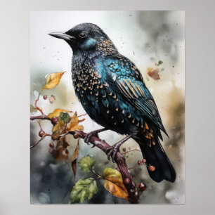 Common Starling Bird Art Impressão Poster