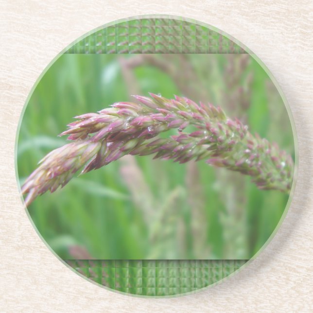 Como a grama cresce a Porta copos (Frente)