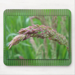 Como a grama cresce no Mousepad