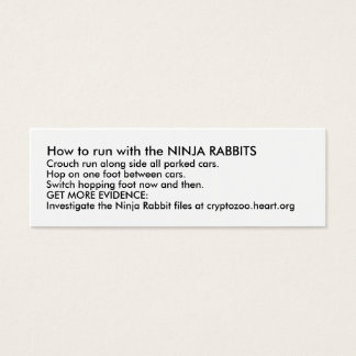 Como correr com o NINJA RABBITS