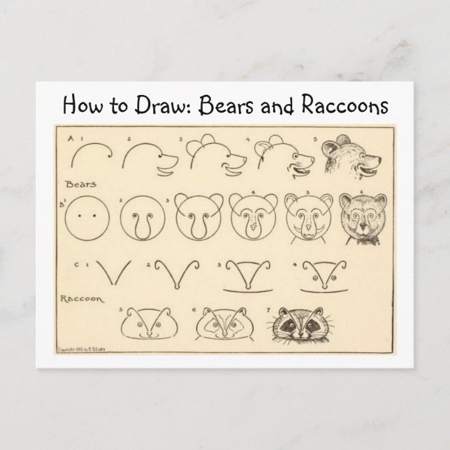 Como Desenhar um Cartão postal de Bear e Raccoon V (Frente)
