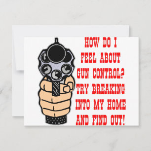 Como Me Sinto Sobre O Controle De Arma