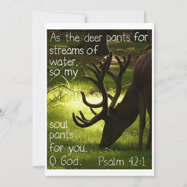 Como o convite dos cervos (Frente)